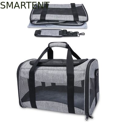 Большие милые принадлежности для домашних животных унисексные внутренние наружные принадлежности для активных домашних животных с удобными воротниками поводки и носители поставщик