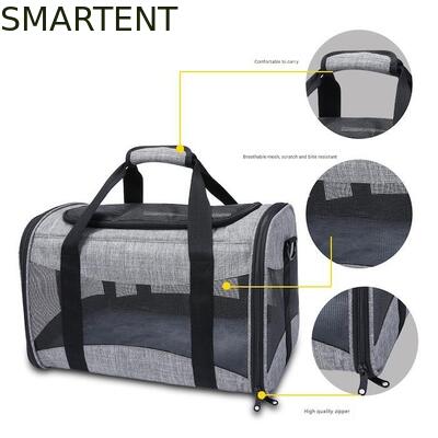 Большие милые принадлежности для домашних животных унисексные внутренние наружные принадлежности для активных домашних животных с удобными воротниками поводки и носители поставщик